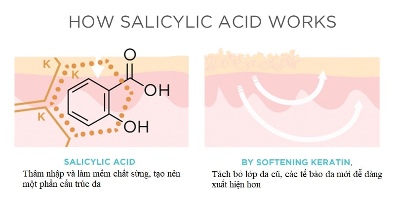 cơ chế hoạt động của salicylic acid